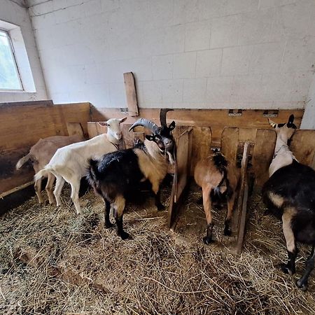 Villa Mair Am Hof - Farm - Maso - Bauernhof Sankt Lorenzen Exterior foto