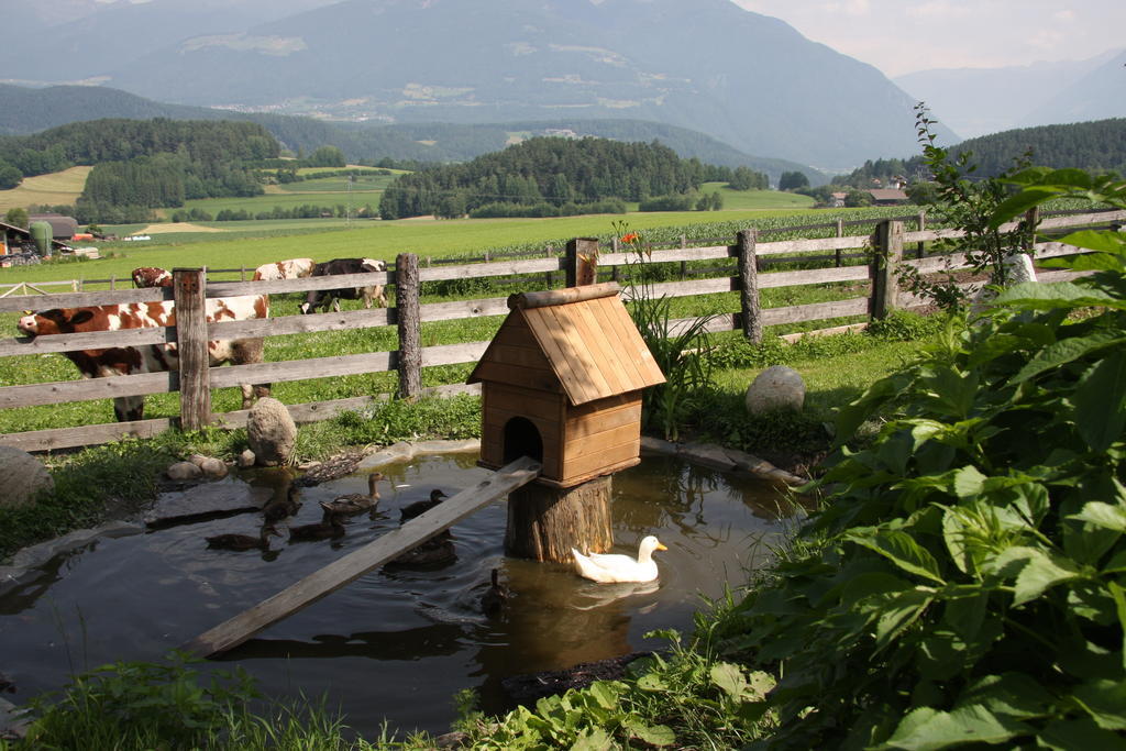 Villa Mair Am Hof - Farm - Maso - Bauernhof Sankt Lorenzen Exterior foto